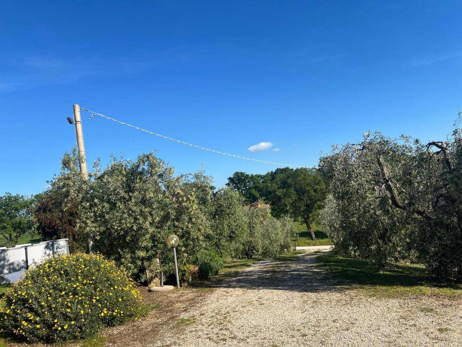 Agriturismo La Castellina Saturnia Buitenkant foto